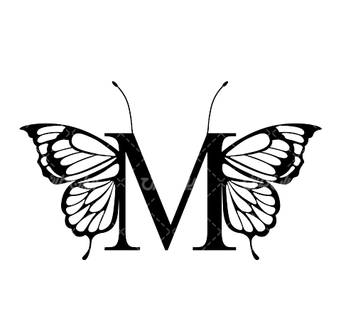 عکس طراحی پروانه با سیاه قلم