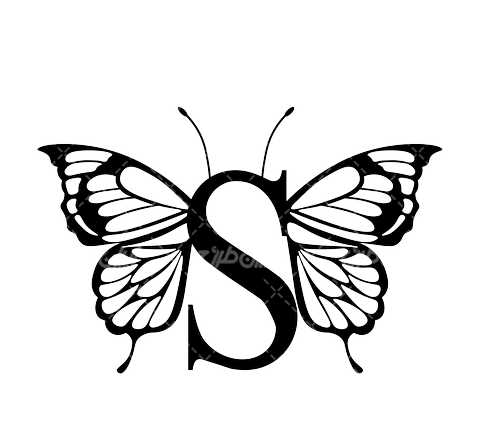 عکس طراحی پروانه با سیاه قلم