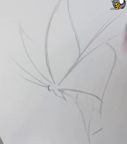 عکس طراحی پروانه با مداد