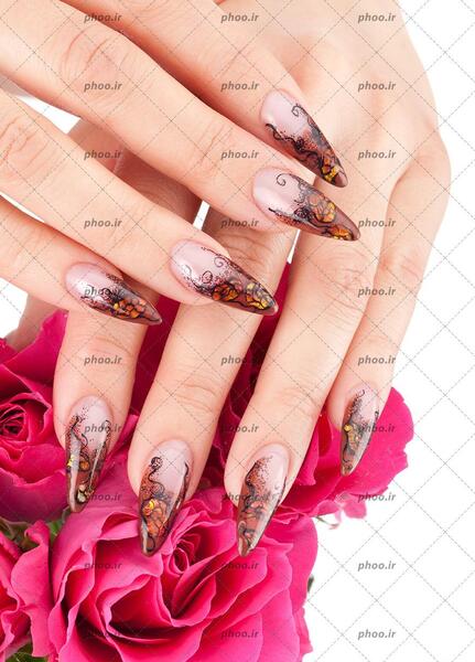 عکس طراحی پروانه روی ناخن
