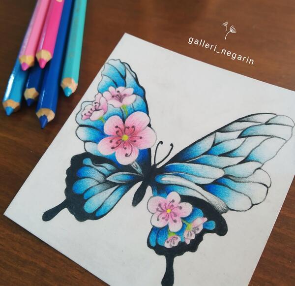 عکس طراحی پروانه با مداد رنگی