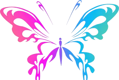 عکس پروانه برای طراحی