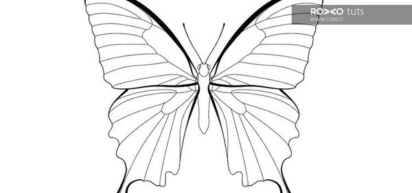 عکس پروانه برای طراحی