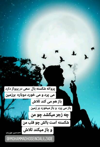 عکس پروانه برای پروفایل غمگین