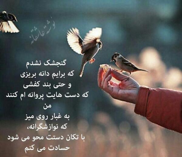 عکس پروانه برای پروفایل غمگین