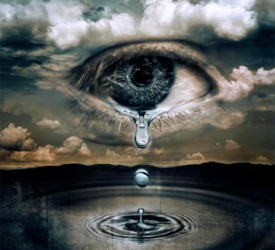 عکس پروانه برای پروفایل غمگین