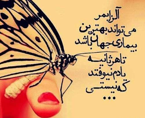 عکس پروانه برای پروفایل غمگین