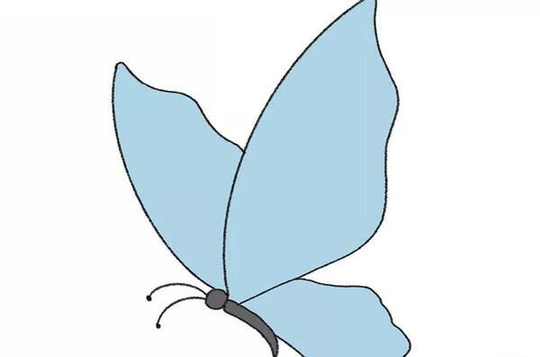 عکس نقاشی پروانه طراحی