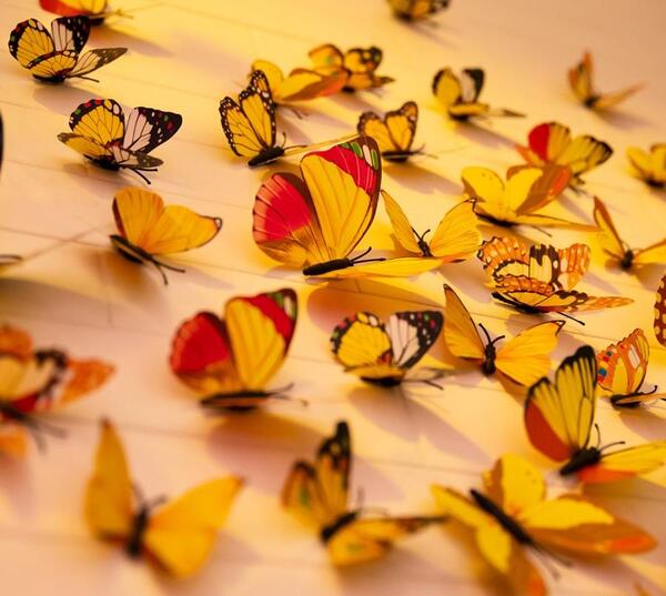 عکس پس زمینه پروانه طلایی