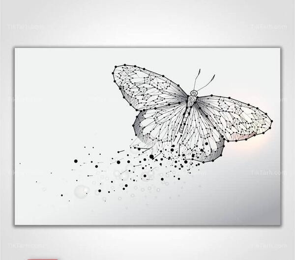 عکس پس زمینه پروانه طلایی