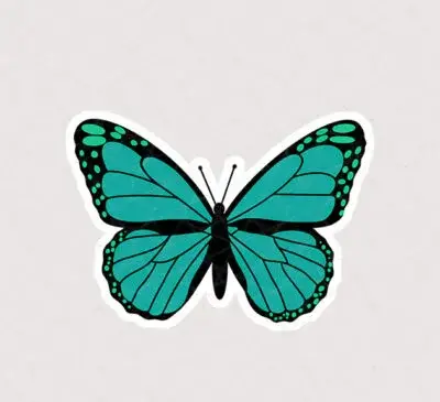 عکس پروانه سبز رنگ