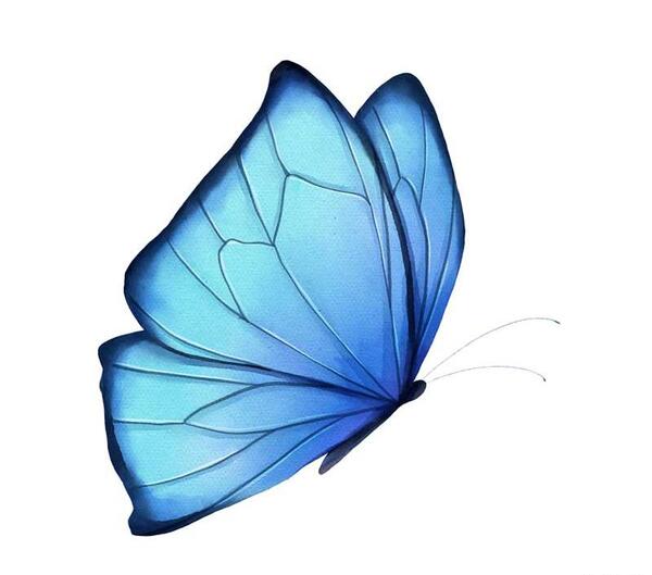 عکس پروانه ی سبز