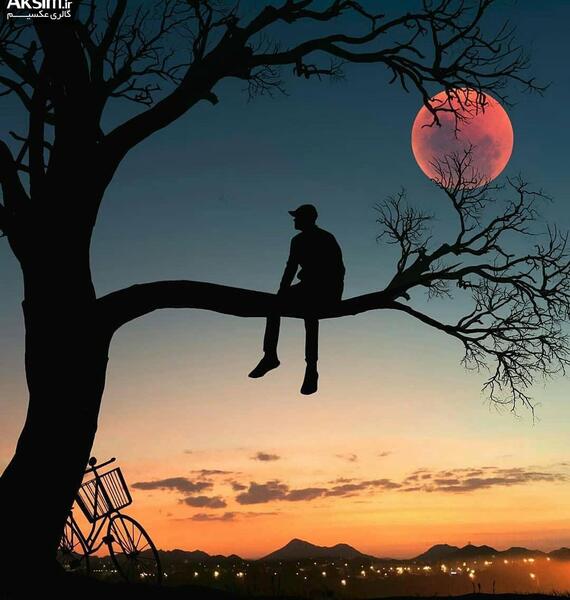 عکس شاخ پسرونه بدون متن