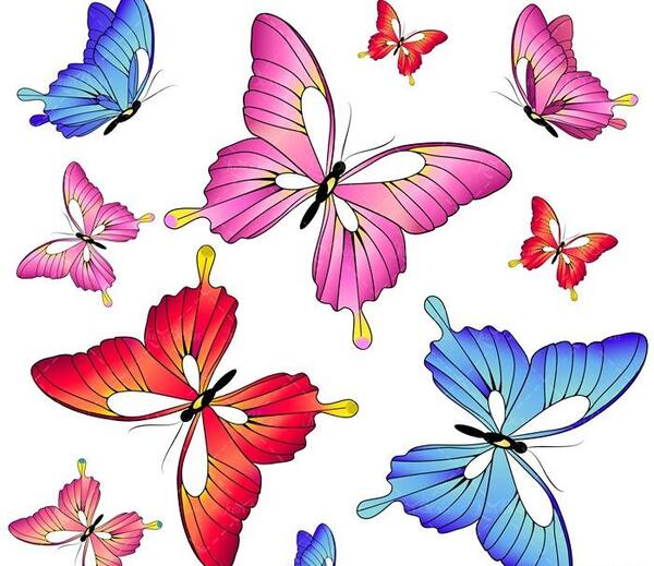 عکس نقاشی پروانه سه بعدی