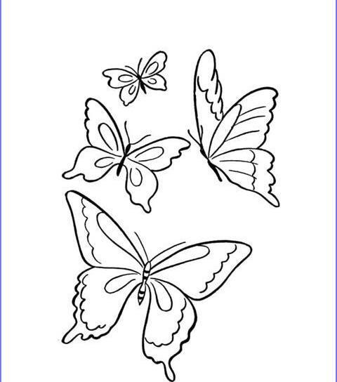 عکس نقاشی یک پروانه زیبا