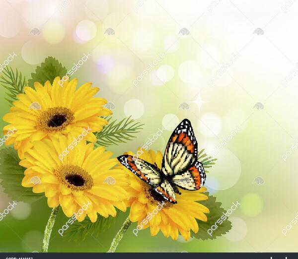 عکس پروانه های زرد