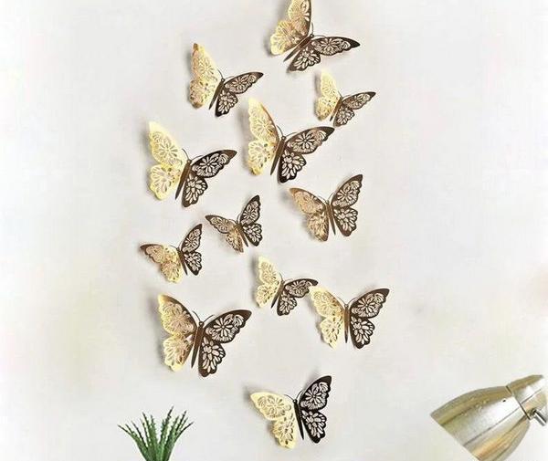 عکس پروانه برای روی دیوار