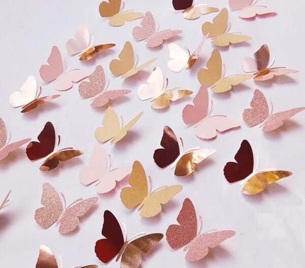 عکس پروانه برای روی دیوار