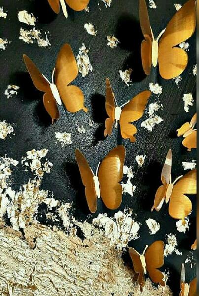 عکس پروانه برای روی دیوار
