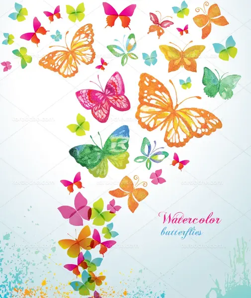 عکس پروانه رنگی رنگی