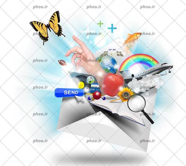 عکس پروانه رنگین کمانی واقعی