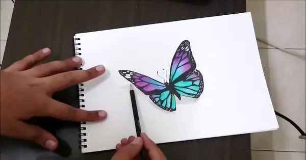 عکس نقاشی پروانه حرفه ای