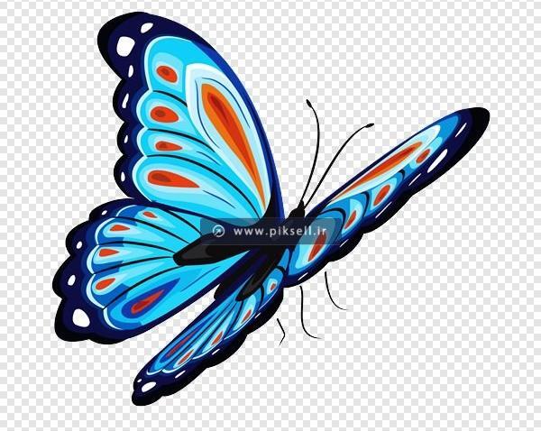عکس متحرک پروانه در حال پرواز