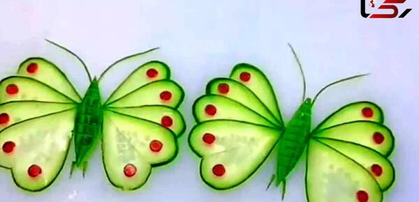 عکس پروانه ماهی چهار چشم