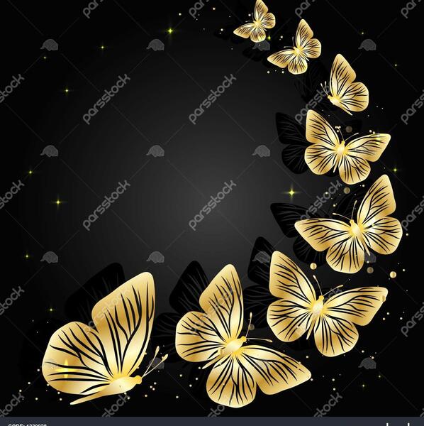 عکس پروانه پس زمینه سیاه