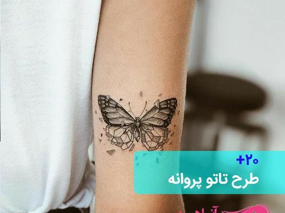 عکس پروانه کوچک برای تاتو