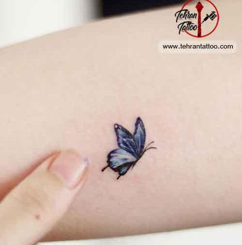 عکس پروانه کوچک برای تاتو
