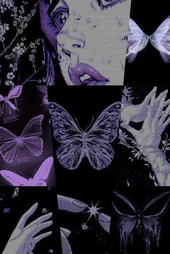 عکس پروانه مشکی برای تصویر زمینه