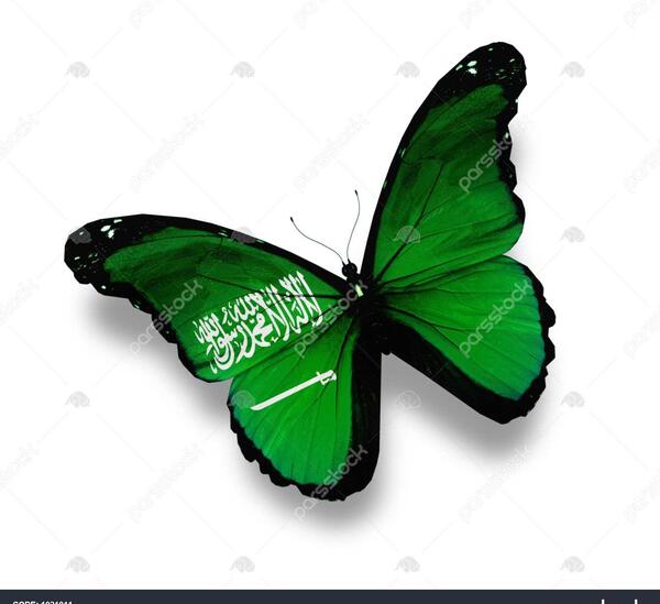 عکس پرچم ایران روی پروانه