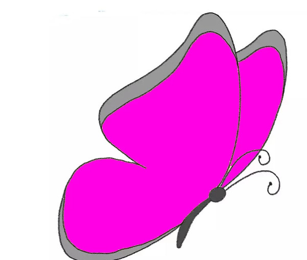 پروانه عکس پروانه نقاشی