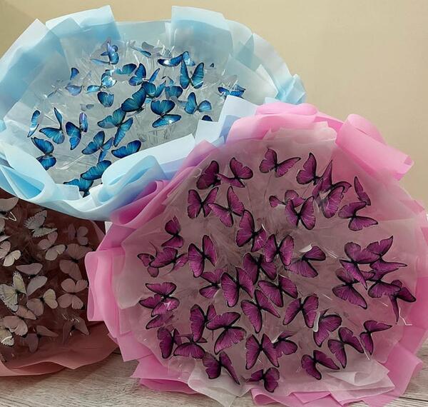 عکس پروانه برای دسته گل پروانه ای