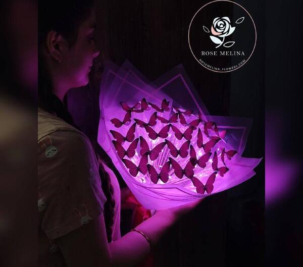 عکس پروانه برای دسته گل پروانه ای