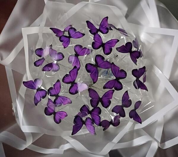 عکس پروانه برای دسته گل پروانه ای