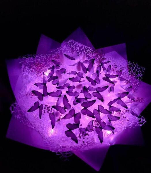 عکس پروانه برای دسته گل پروانه ای