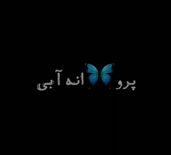 عکس پروانه پس زمینه مشکی