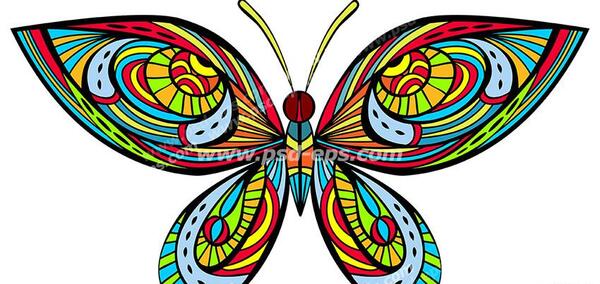 عکس پروانه برای نقاشی رنگی