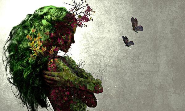 عکس پروانه ها برای تصویر زمینه