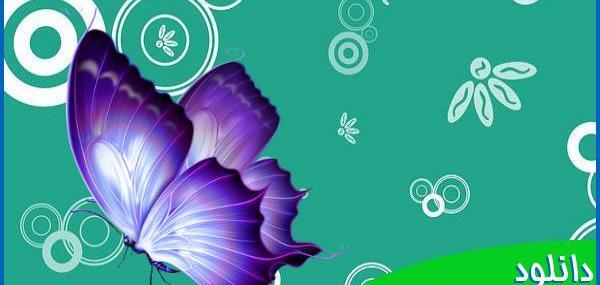 عکس پروانه بنفش برای تصویر زمینه