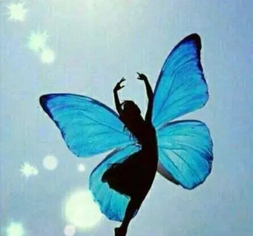 عکس پروانه ابی پروفایل