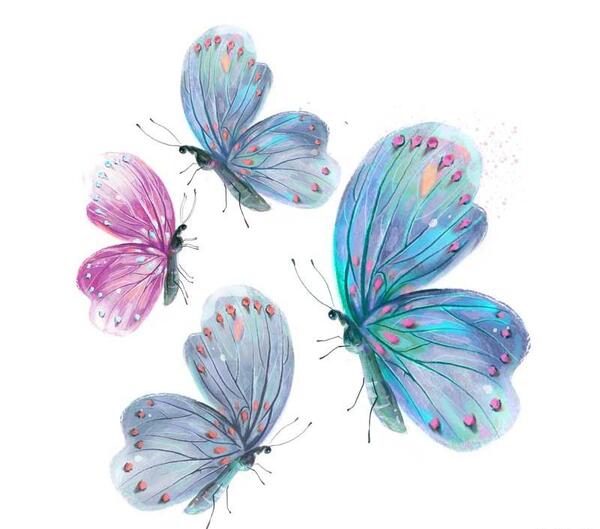 عکس پروانه ای که روی گل نشسته