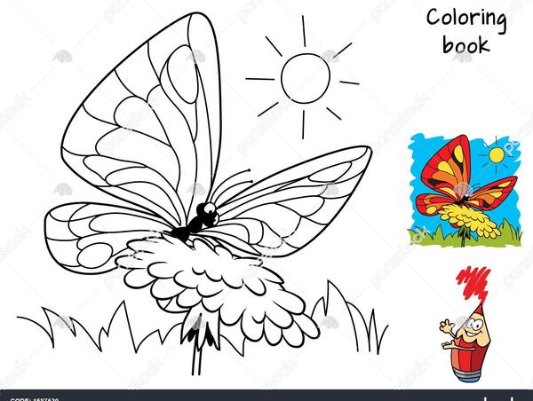 عکس پروانه ای که روی گل نشسته