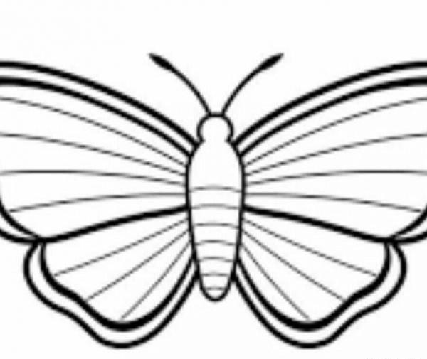 عکس نقاشی پروانه آسان