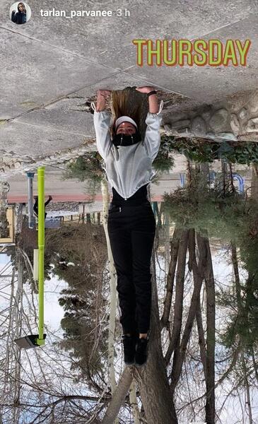 عکس پروانه اینستاگرام