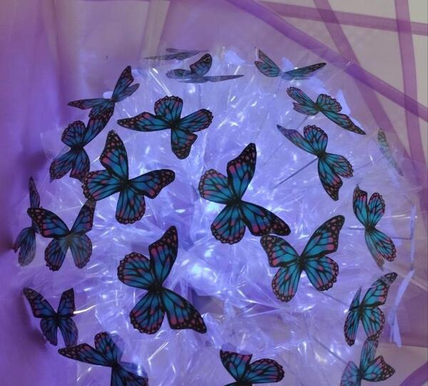عکس پروانه ای بنفش
