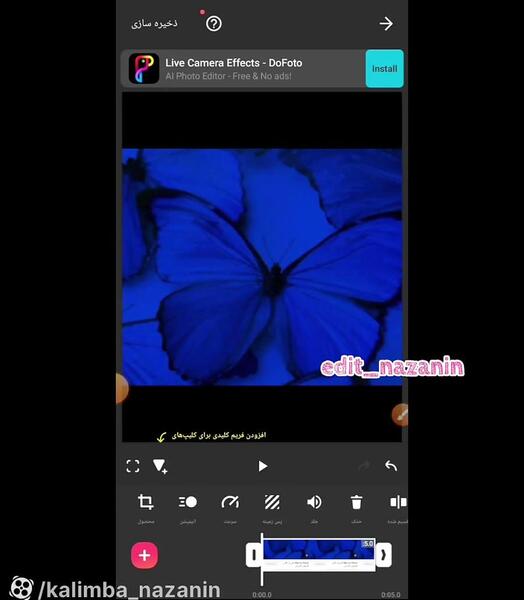عکس پروانه آبی برای ادیت