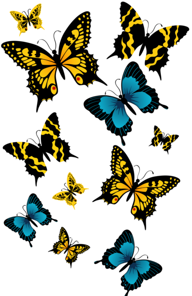 عکس پروانه های آبی
